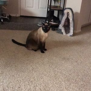 Meet your Posher, Dana